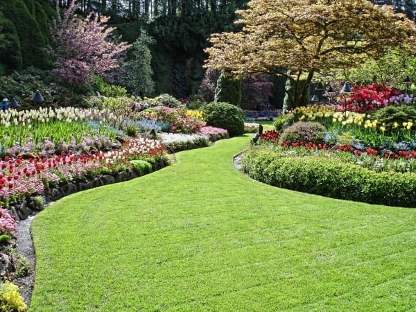 a beaitiful garden, lawn and flowers